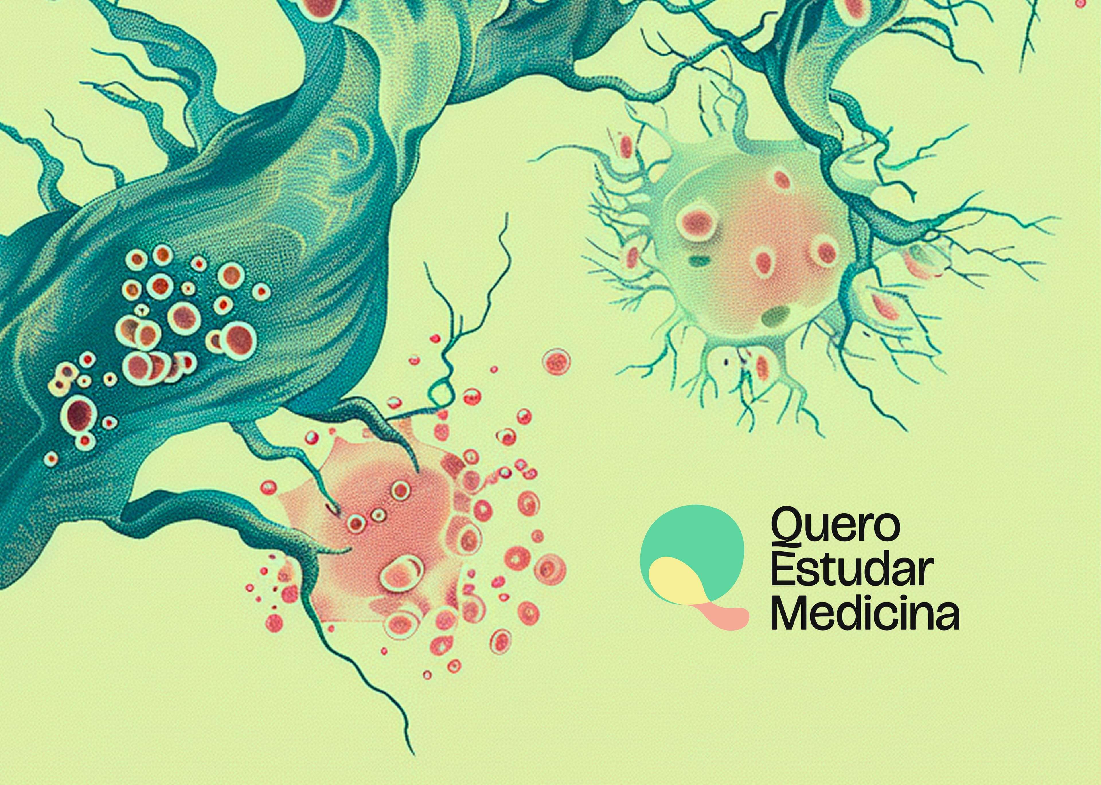 Quero Estudar Medicina